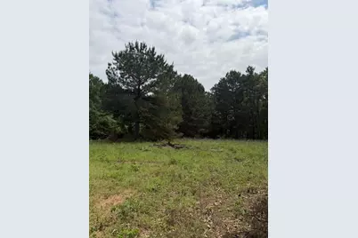 Na Cherokee Trail, Lovelady, TX 75851 - Photo 3
