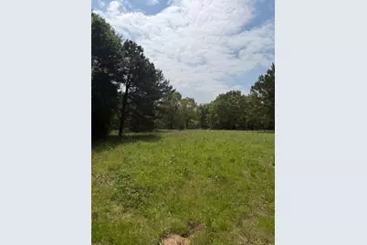 Na Cherokee Trail, Lovelady, TX 75851 - Photo 5