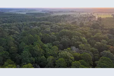 Tbd Butler Road, Livingston, TX 77351 - Photo 23