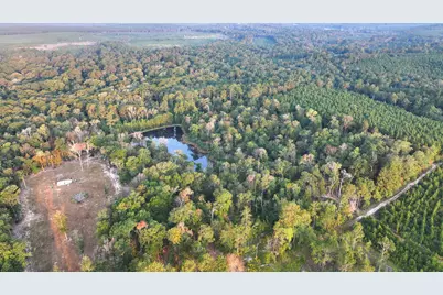 Tbd Butler Road, Livingston, TX 77351 - Photo 15