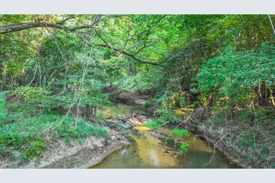 Tbd Butler Road, Livingston, TX 77351 - Photo 13
