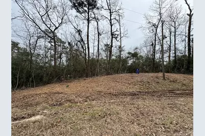 Lot 69 Wildwood Harbor Circle, Onalaska, TX 77360 - Photo 1