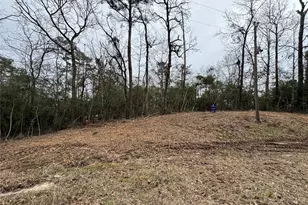 Lot 69 Wildwood Harbor Circle, Onalaska, TX 77360 - Photo 1