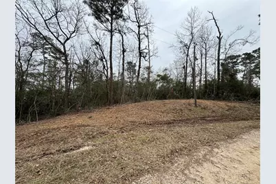 Lot 69 Wildwood Harbor Circle, Onalaska, TX 77360 - Photo 11