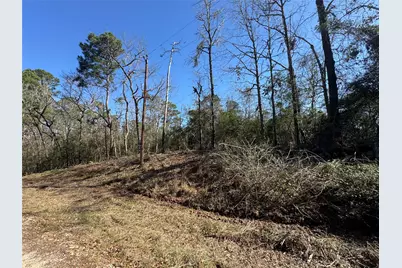 Lot 69 Wildwood Harbor Circle, Onalaska, TX 77360 - Photo 17