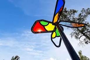 277 Douglas Hls Dr, Magnolia, TX 77354 - Photo 37