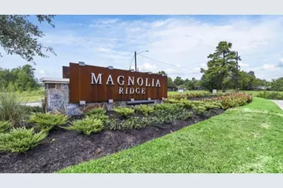 277 Douglas Hills Drive, Magnolia, TX 77354 - Photo 33