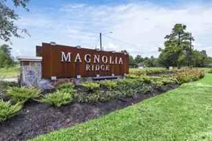 277 Douglas Hls Dr, Magnolia, TX 77354 - Photo 33