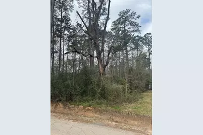 14871 Fannin Rd, Willis, TX 77378 - Photo 1