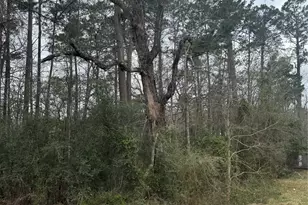 14871 Fannin Rd, Willis, TX 77378 - Photo 1