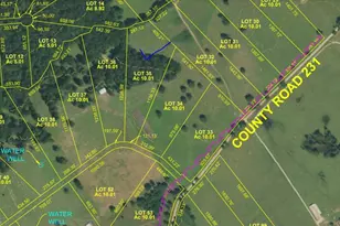 Tr 35 Private Road 2316, Centerville, TX 75833 - Photo 1