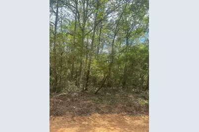 00 Patricia Drive, Livingston, TX 77351 - Photo 1