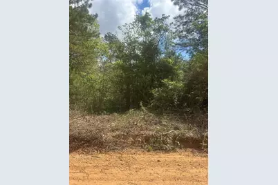 00 Patricia Drive, Livingston, TX 77351 - Photo 5