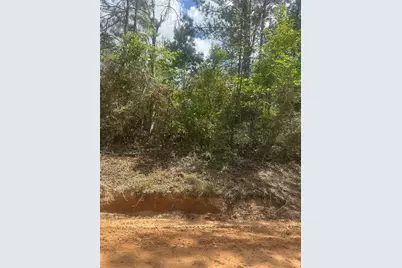 00 Patricia Drive, Livingston, TX 77351 - Photo 3