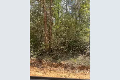 00 Patricia Drive, Livingston, TX 77351 - Photo 7