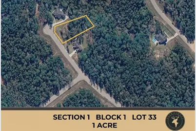 147 Eagle Run Road, Willis, TX 77378 - Photo 1