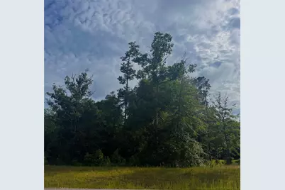 147 Eagle Run Road, Willis, TX 77378 - Photo 3