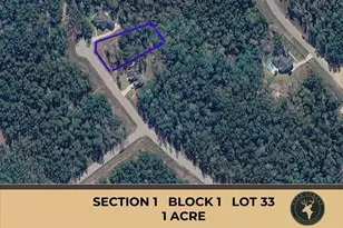 147 Eagle Run Rd, Willis, TX 77378 - Photo 1