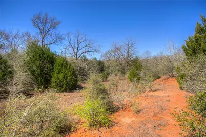 Tbd County Road 482, Normangee, TX 77871 - Photo 31