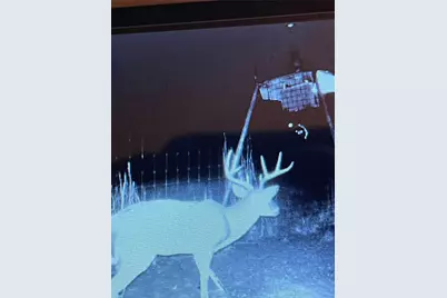 Tbd County Road 482, Normangee, TX 77871 - Photo 5