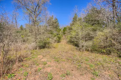 Tbd County Road 482, Normangee, TX 77871 - Photo 25
