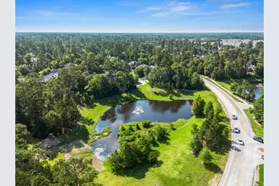 146 S Star Ridge Circle, The Woodlands, TX 77382 - Photo 29