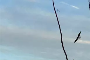 2149 Rope Maker Rd, Conroe, TX 77384 - Photo 33