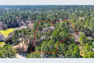 26211 Penguin Street, Magnolia, TX 77355 - Photo 3