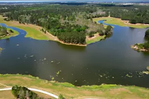31325 Riley Woods Ct, Spring, TX 77386 - Photo 7