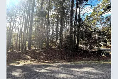 179 Green Tree Drive, Coldspring, TX 77331 - Photo 1