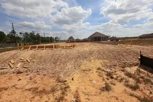 42813 Terraza Dr, Magnolia, TX 77354 - Photo 5