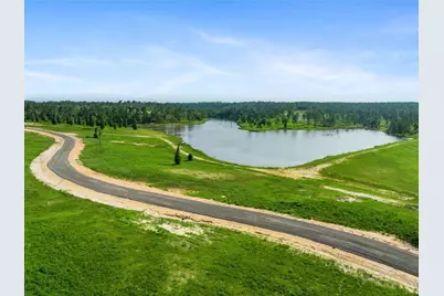Lot 83 Grace Circle, Livingston, TX 77351 - Photo 1