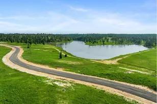 Lot 83 Grace Circle, Livingston, TX 77351 - Photo 1