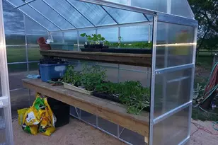 9235 Ruth Rd, Rosharon, TX 77583 - Photo 35