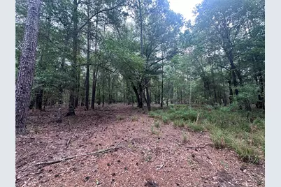 2518 Fm 943, Livingston, TX 77351 - Photo 1