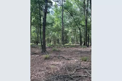 2518 Fm 943, Livingston, TX 77351 - Photo 3