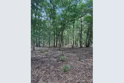 2518 Fm 943, Livingston, TX 77351 - Photo 7