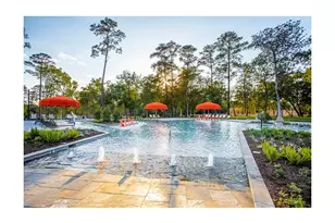 107 Silver Sky Ct, Conroe, TX 77304 - Photo 33