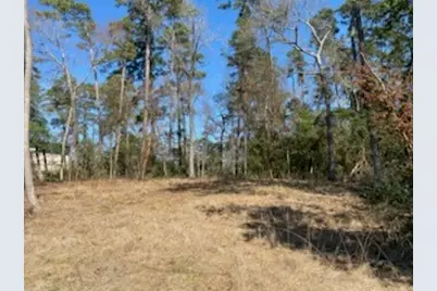 531 Mohawk Bend, Conroe, TX 77316 - Photo 3