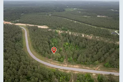 15396 Forest Grove Drive, Willis, TX 77378 - Photo 21