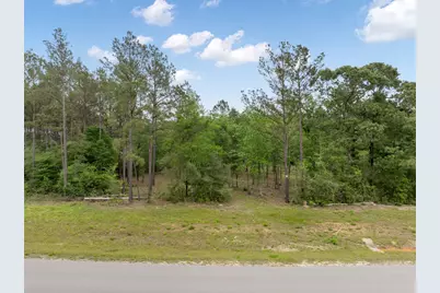 15396 Forest Grove Drive, Willis, TX 77378 - Photo 7