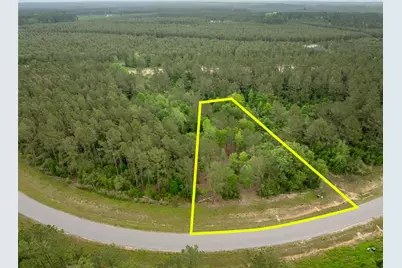 15396 Forest Grove Drive, Willis, TX 77378 - Photo 1