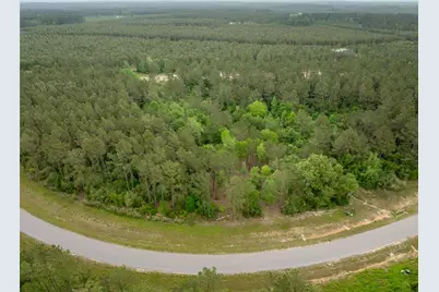 15396 Forest Grove Drive, Willis, TX 77378 - Photo 9