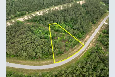15396 Forest Grove Drive, Willis, TX 77378 - Photo 17