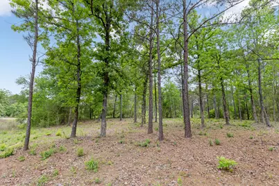 15396 Forest Grove Drive, Willis, TX 77378 - Photo 5