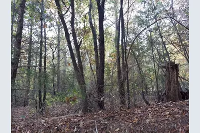 0 County Road 1587 Tr 3A, Avinger, TX 0 - Photo 3