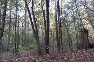 0 County Road 1587 Tr 3A, Avinger, TX 0 - Photo 3