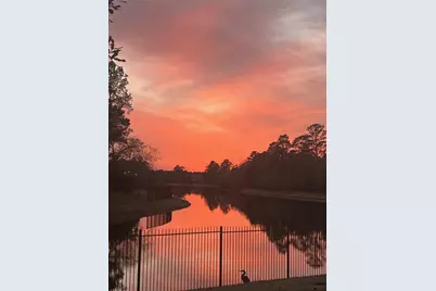 50 Cove View Trail Court, Spring, TX 77389 - Photo 15