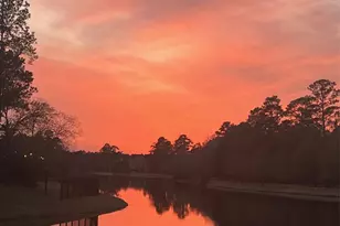 50 Cove View Trail Ct, Spring, TX 77389 - Photo 15