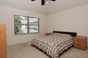 62 N Beech Springs Cir, Spring, TX 77389 - Photo 29